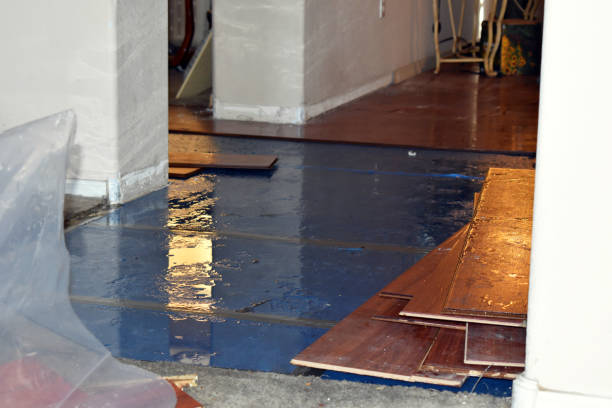 Professional Basement Flood Cleanup technician working in Lumberville, PA